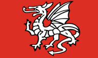 English Pendragon Flags